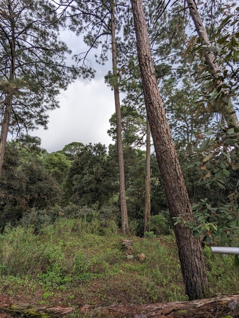 Tu Proyecto en Valle de Bravo, SE VENDE TERRENO de 1700 m2