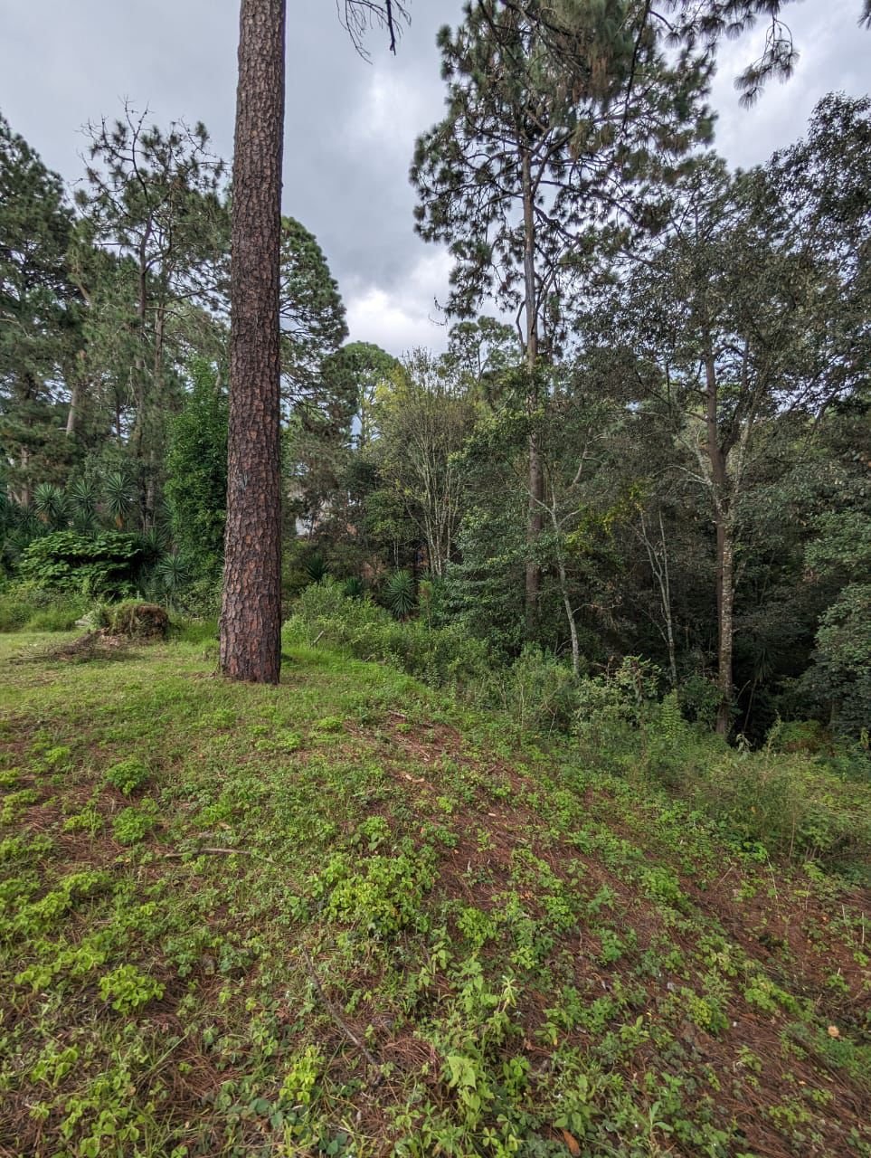 Tu Proyecto en Valle de Bravo, SE VENDE TERRENO de 1700 m2