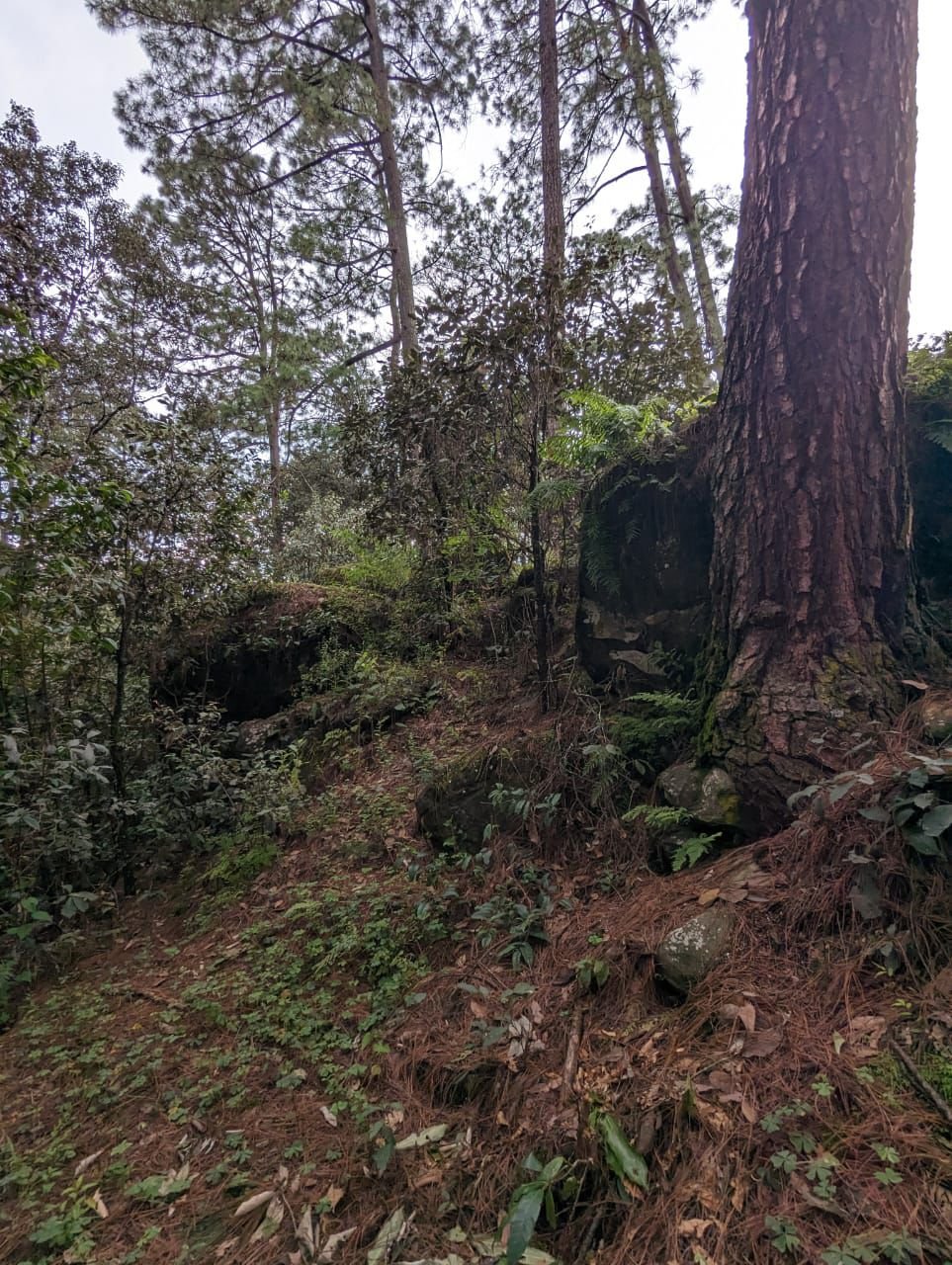 Tu Proyecto en Valle de Bravo, SE VENDE TERRENO de 1700 m2