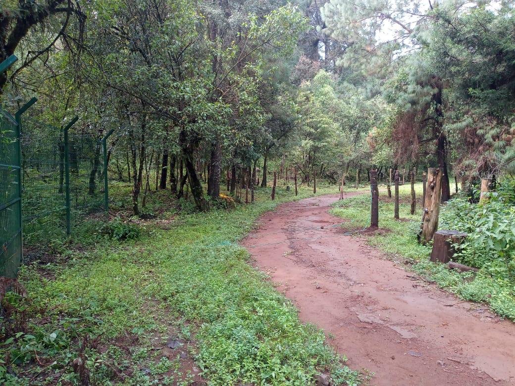 3 hectáreas para soñar, construir y vivir en libertad Valle de Bravo