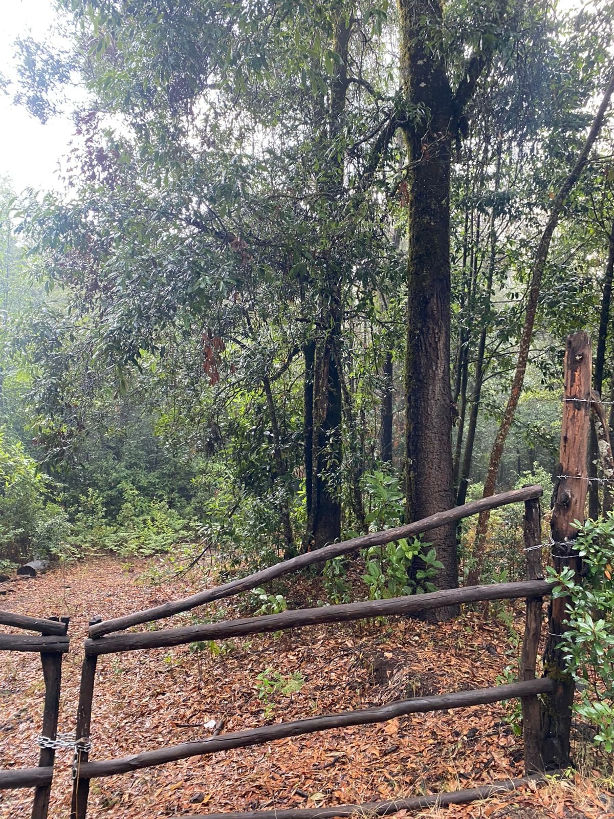 3 hectáreas para soñar, construir y vivir en libertad Valle de Bravo