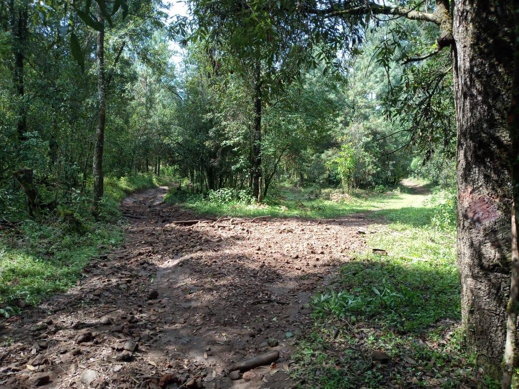 3 hectáreas para soñar, construir y vivir en libertad Valle de Bravo