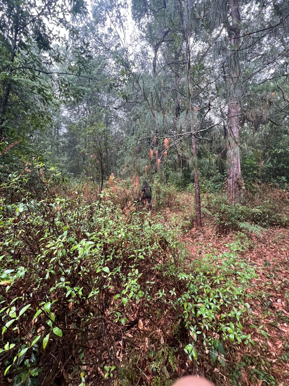 3 hectáreas para soñar, construir y vivir en libertad Valle de Bravo